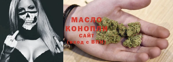 сатива Инта