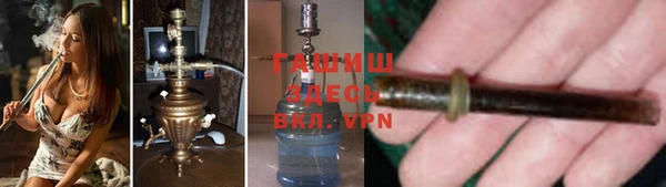 сатива Инта
