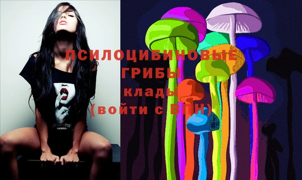 скорость Каменка