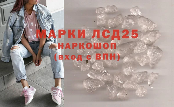 скорость Каменка