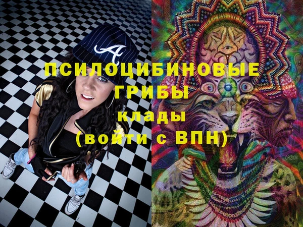 мяу мяу мука Каменногорск