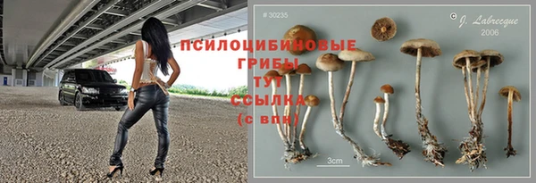 скорость Каменка