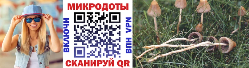 Галлюциногенные грибы MAGIC MUSHROOMS  Купить закладки  Кузнецк 